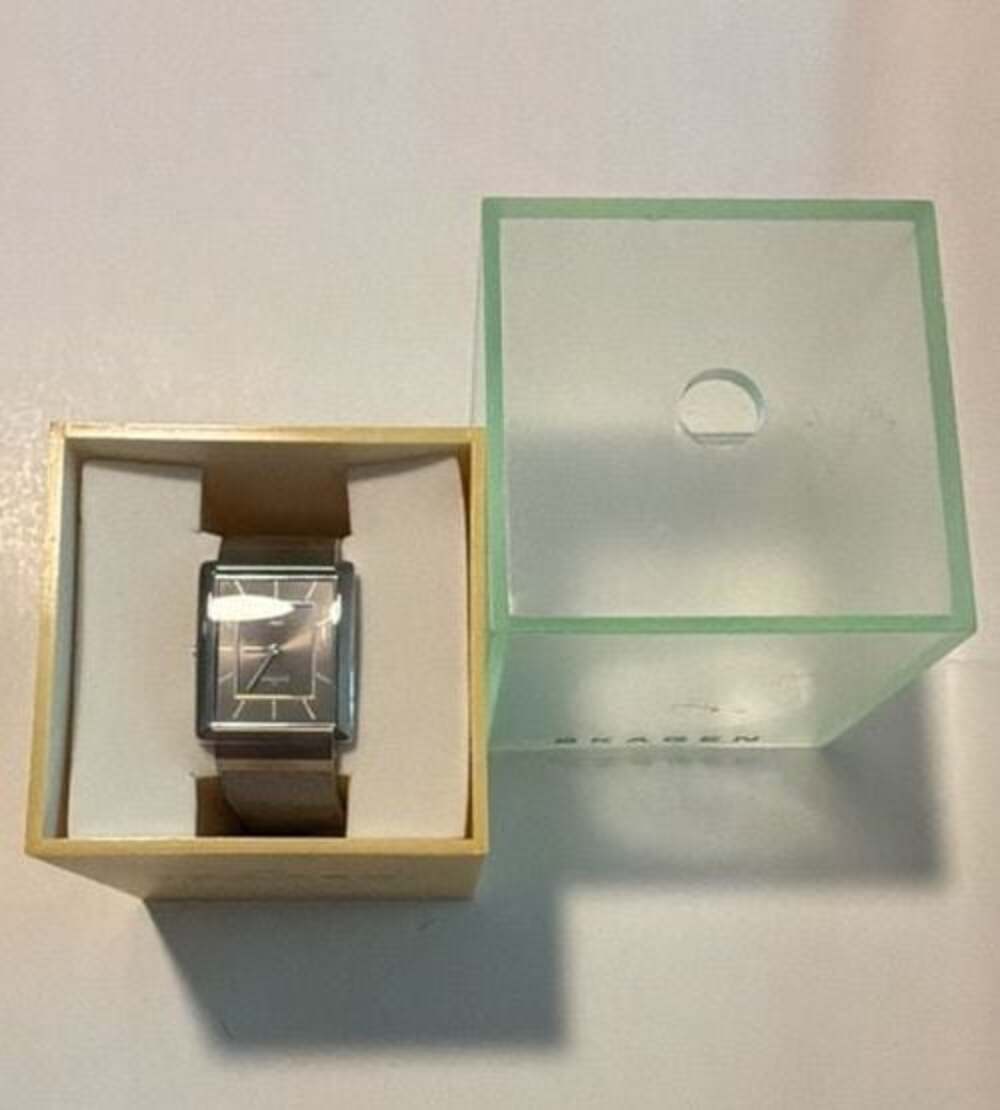 Skagen Denmark Rectangular Stainless Steel Mesh Watch